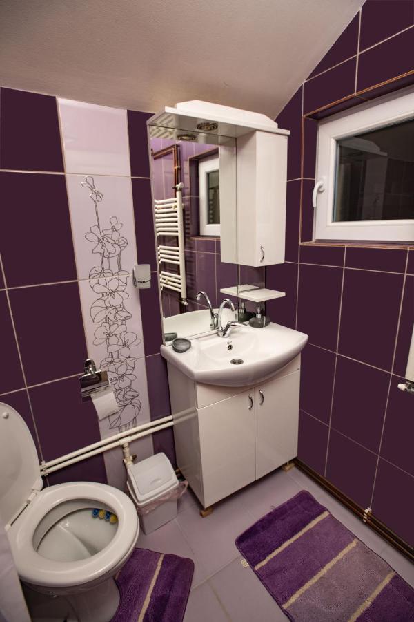 Apartmani Sp Jovanovic Crni Vrh 外观 照片